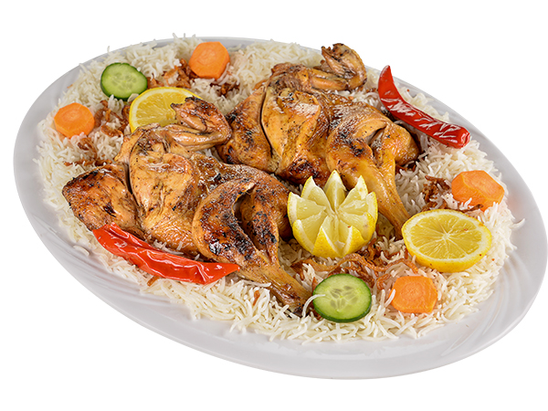 حبه دجاج مظبي